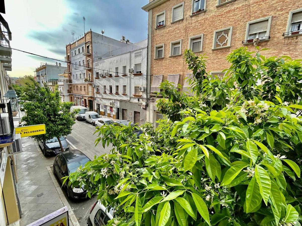 Apartamento Hispalis Triana *